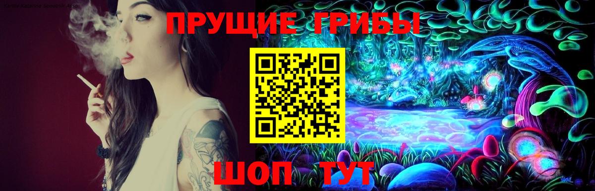 Псилоцибиновые грибы мицелий  Вход с VPN  купить наркотик  Кизляр 